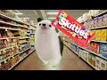 Skittles Meme Hedgehog Dancing Meme Mother Father Gentleman Hedgehog Skittles Meme Hedgehog Dancing Meme Mother Father Gentleman Hedgehog