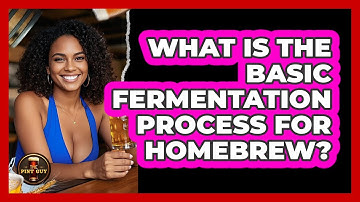 What Is The Basic Fermentation Process For Homebrew?