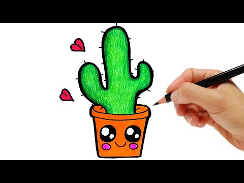 Vidéo: Comment Dessiner Un Cactus Avec Un Crayon