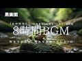 Frog Sounds & Forest Stream Ambience (8H) | Relaxing Nature Sounds 【Black Scleen】