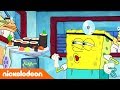 SpongeBob | Nickelodeon Arabia | سبونج بوب | الجراح سكويربانتس