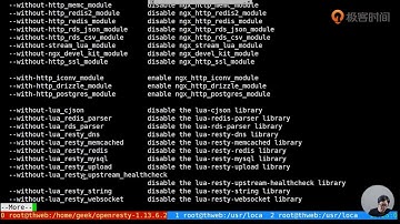 19丨 基于 OpenResty 用 Lua 语言实现简单服务 |Nginx核心知识