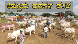 Kittur cattle market - Every Monday