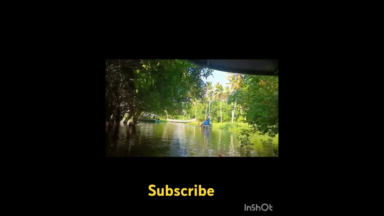 Mangrove forest # boat ride # speed boat # thiruvananthapuram 