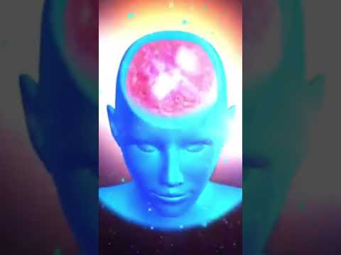 میم مغز باهوش 