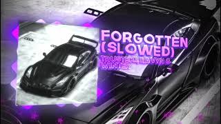 forgotten (slowed) - trusteki, ravyn& winter(VISUALIZER)