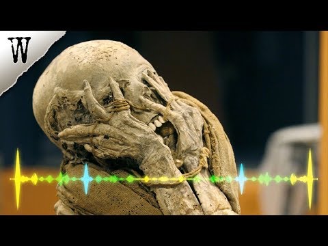 Video: Talking Mummies - Alternative View