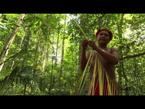 For Amazon tribe, rainforest provides everything they need