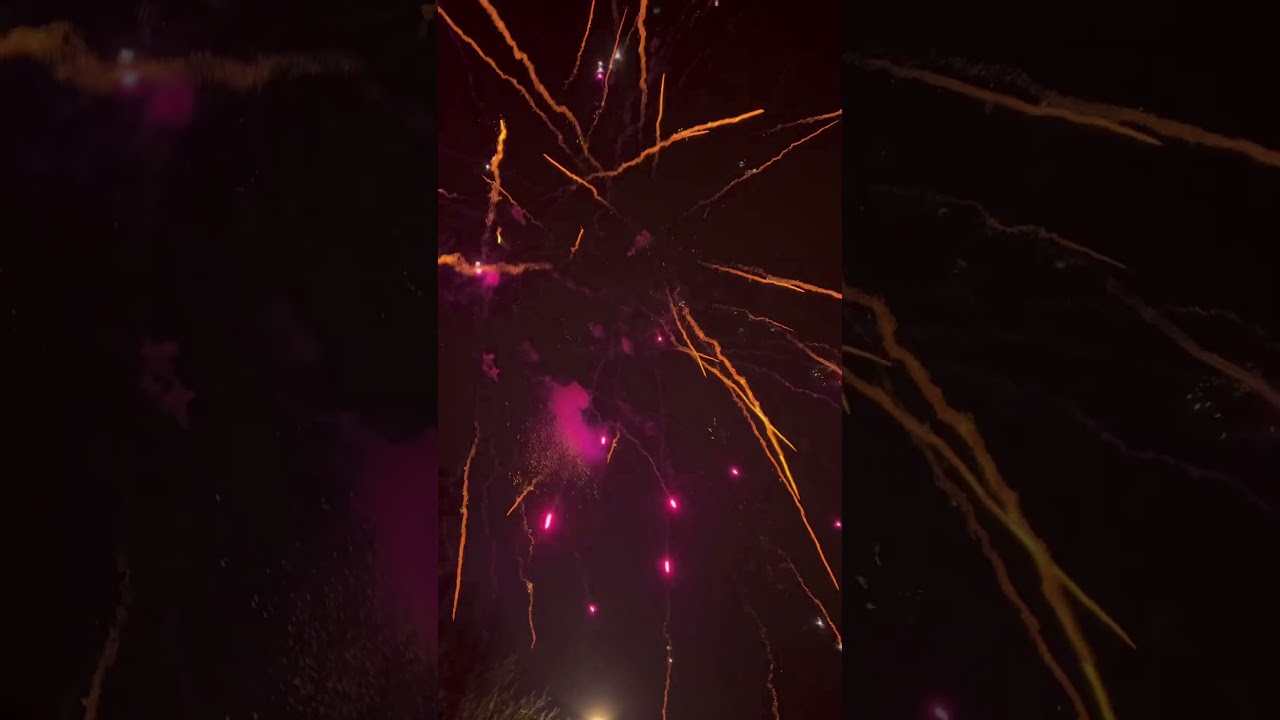 Scala 8 + 8 inch gold willow with purple tips 