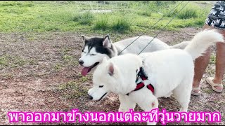 พาออกมาข้างนอกแต่ละทีวุ่นวายมาก | ข้าวเหนียว ขี้กระโปกหมา