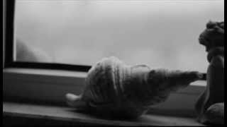 Tutamazsın,Yalnızlık. Mini Video