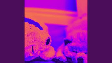 Astounding Backdrops for Sleepy Hound Zone