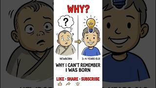 Why You Can't Remember Being Born #neuroscience #psychology #animation #brain #mentalhealth