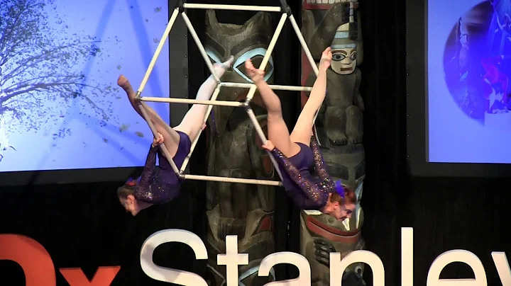 Hanging Cube  Synergy | Jason Waugh | TEDxStanleyP...