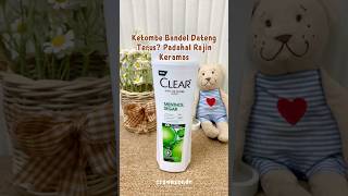 Ketombe Bandel Coba Pake Shampoo Clear Ini #shampoo #antiketombe