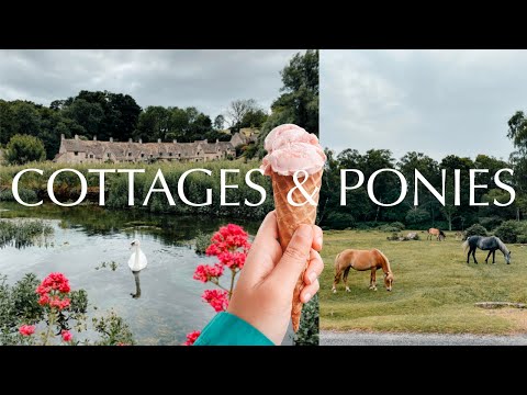 🚗American family road trip through New Forest & the Cotswolds 🏴 | ENGLAND TRAVEL VLOG