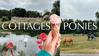 🚗American family road trip through New Forest & the Cotswolds 🏴󠁧󠁢󠁥󠁮󠁧󠁿 | ENGLAND TRAVEL VLOG