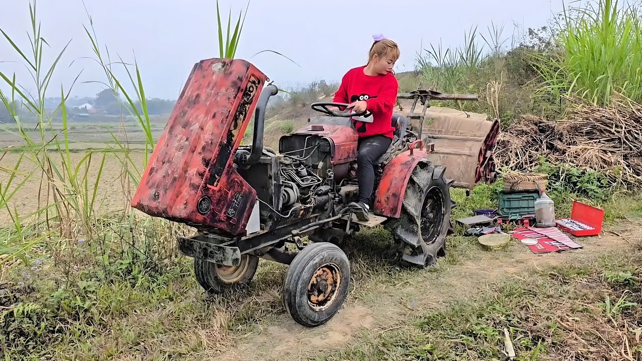 The girl repairs and restores a tractor for her neighbor.
