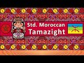 Standard moroccan amazigh language