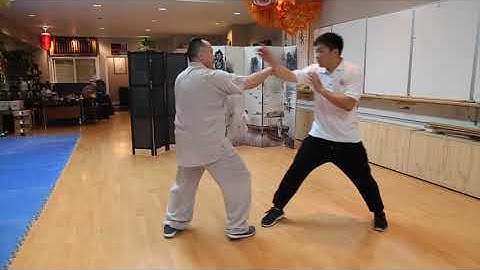 7 Star Praying Mantis Kung Fu Forms Techniques Applications Lan Jie 七星螳螂攔截拳