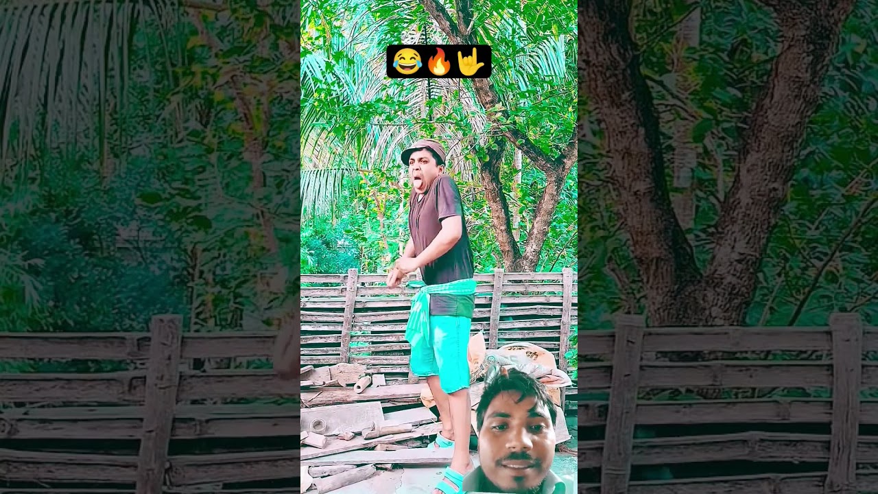 cat Tum bacche ko kyon mara #cat #shorts#funny