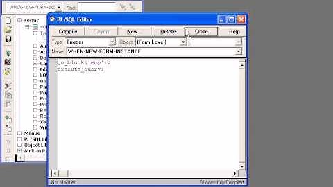 ahmad shah zahid changing number to word in oracle developer