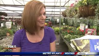 Pike Nurseries DIY hanging container with Joanne Feldman
