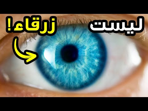 فيديو: هل العيون الزرقاء نتيجة فطرية؟