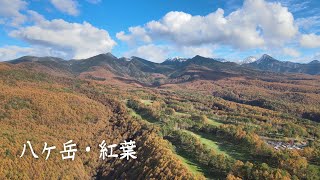 八ヶ岳の紅葉 2021年 11月