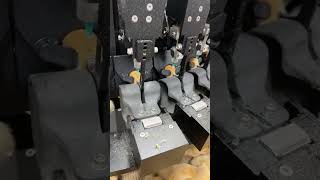 Chick vaccination machine: Quality tools and machinery enhance work efficiency