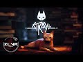 `Chill Stream Stray PC Gameplay