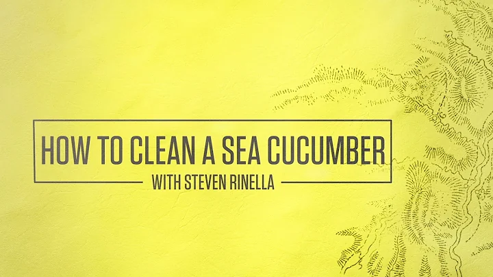 How To Clean A Sea Cucumber With Steven Rinella