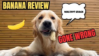Douglas Reviews: The Banana Banananza 🍌🐶