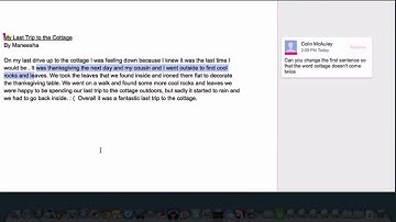 Leaving Descriptive Feedback In Google Docs