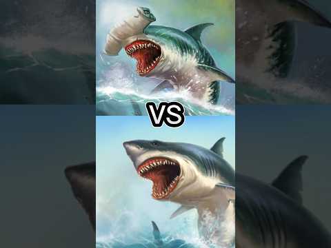 GREAT WHITE SHARK VS GREAT HAMMERHEAD SHARK, SAW SHARK, BLUE SHARK, MOST DANGEROUS SHARK