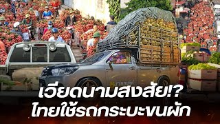 เหงียนสงสัย ทำไมคนไทยเอารถกระมาขนผัก เพราะเวียดนามถือว่าเป็นรถหรู
