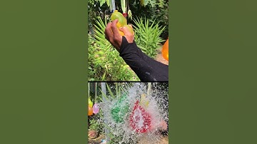 The Ultimate Water Balloon POP! Slow Motion #water #experiment #waterballoon