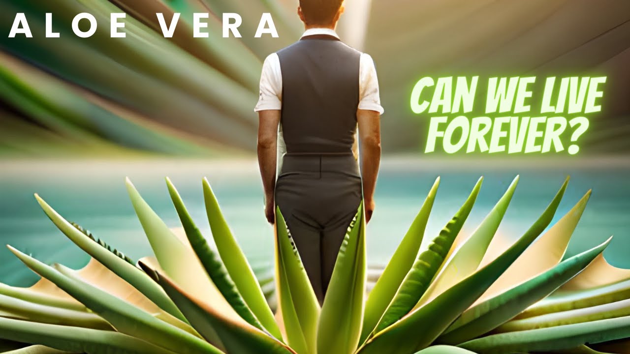 Aloe Vera: The Plant of Immortality?