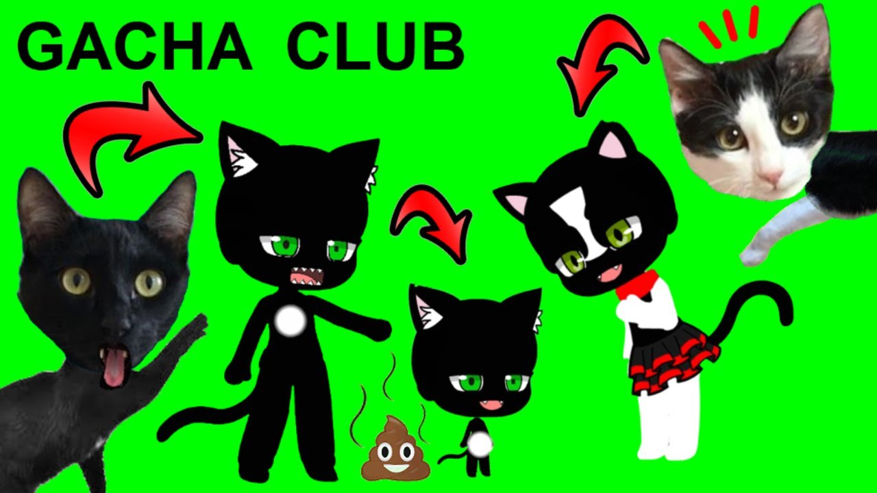 Gacha club pero son bebes jugando con gatitos Luna y Estrella / Mini movie en español
