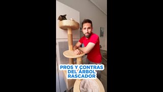 Review: Pros y contras del árbol rascador de madera de mi gato Alcachofo