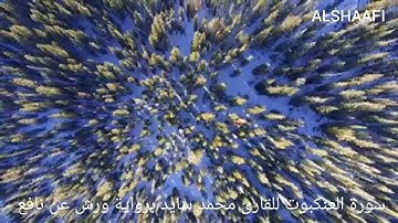 محمد سايد - سورة العنكبوت |029| MOHAMED SAYED - SURAT AL EANKABUT