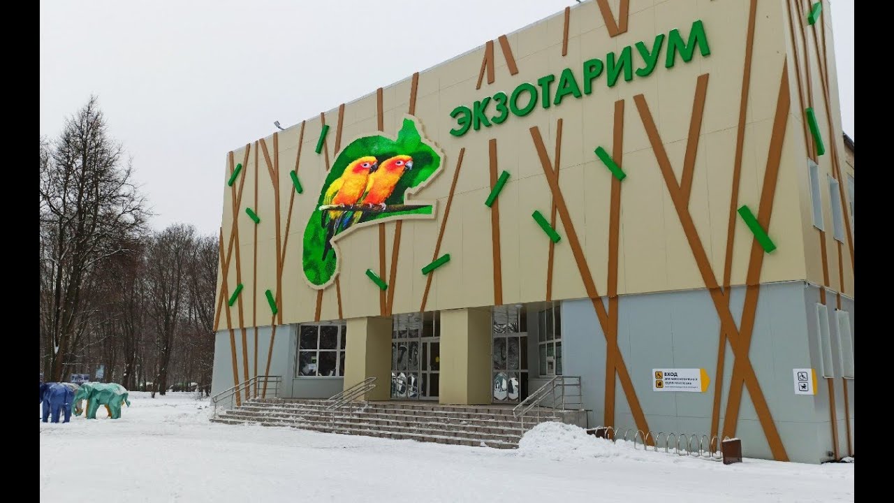 Тульский экзотариум . ЗООЭКЗОТАРИУМ г. Тула ( змеи , рыбы , черепахи ...