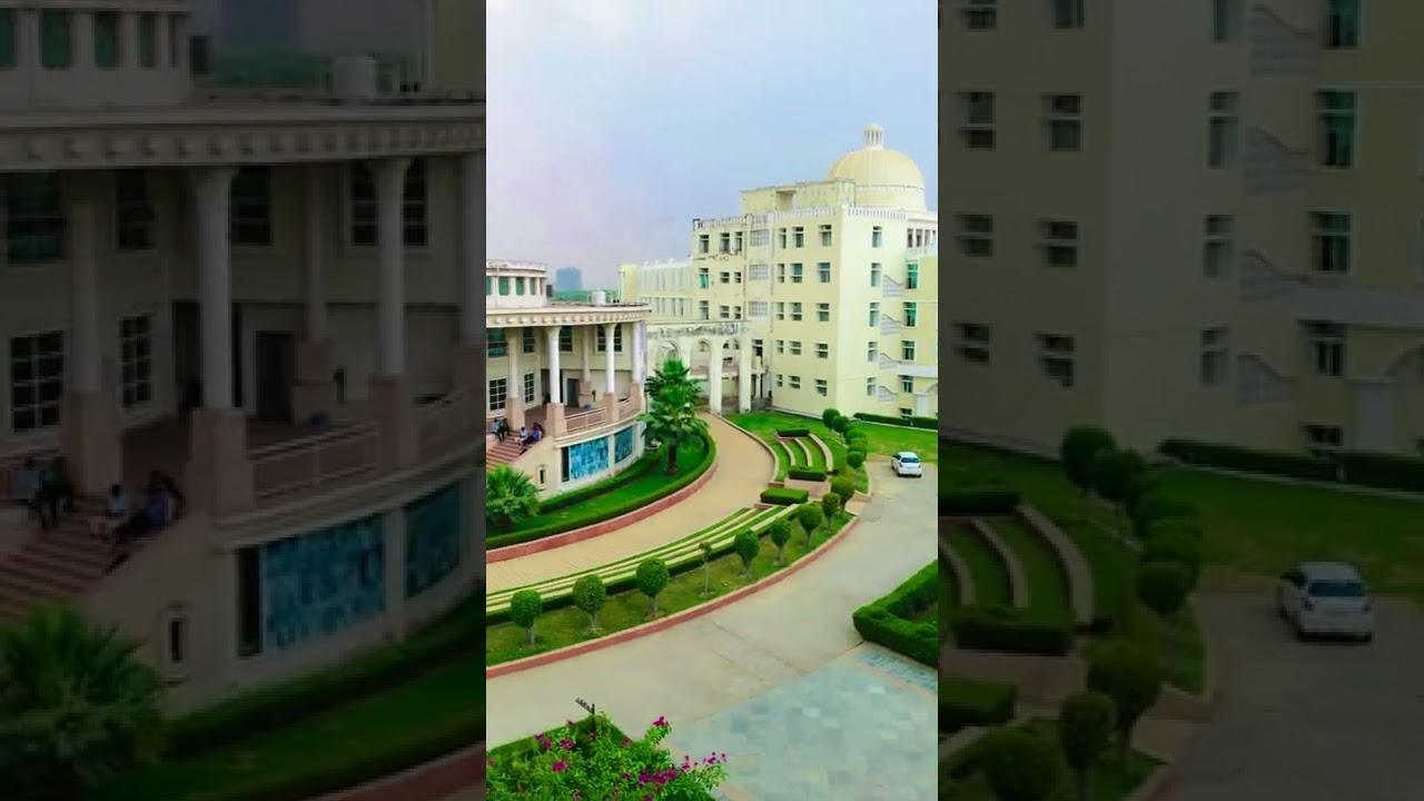 noida international University