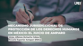 Mecanismo jurisdiccional de protección de los derechos humanos en México: El Juicio de Amparo