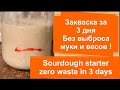 🇺🇦Слава Украине. Закваска для хлеба. ПРОСТО, ЗА 2-3 дня ! Без ВЫБРАСЫВАНИЯ и ВЗВЕШИВАНИЯ !