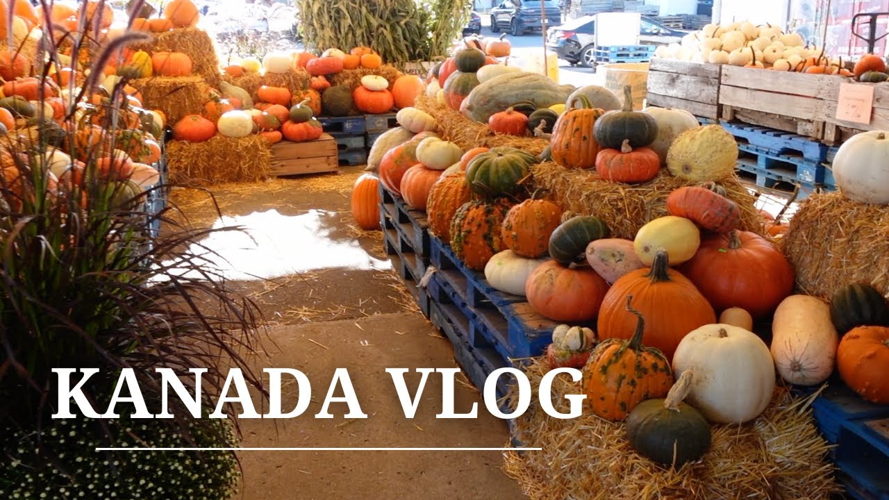 Yeniden Pazara Gittim | Köpegimin Son Durumu | #pazar #alışveriş