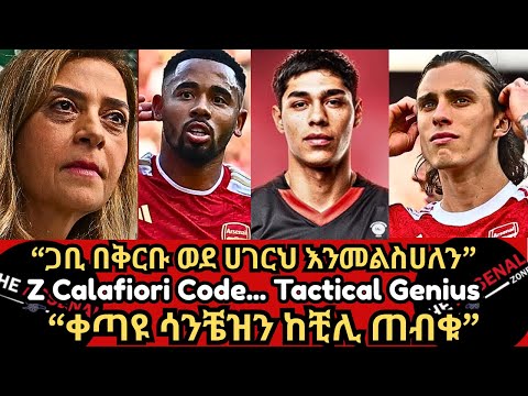 ጋቢ በቅርቡ ወደ ሀገርህ እንመልስሀለን Z Calafiori Code Tactical Genius ቀጣዩ ሳንቼዝን ከቺሊ ጠብቁ እሁድ ጥቅምት 2 2018