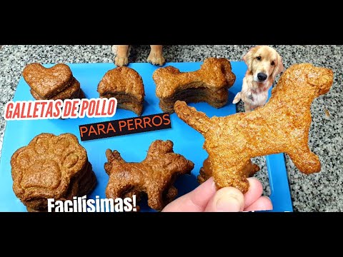 Video: Who Cut The Cheese Dog Treat Recipe