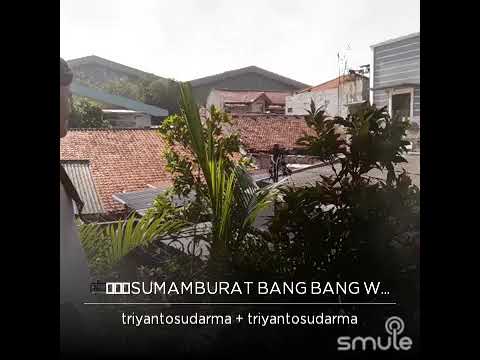 Sumamburat Bang Bang Wetan  ( Ardia Diwang Probowati ) by triyantosudarma