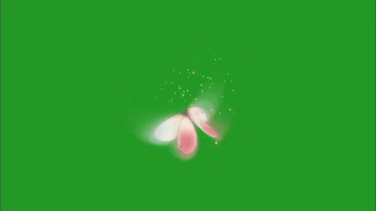 magic butterfly Green Screen video full HD copyright free
